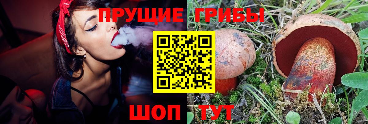 Псилоцибиновые грибы мухоморы Ртищево