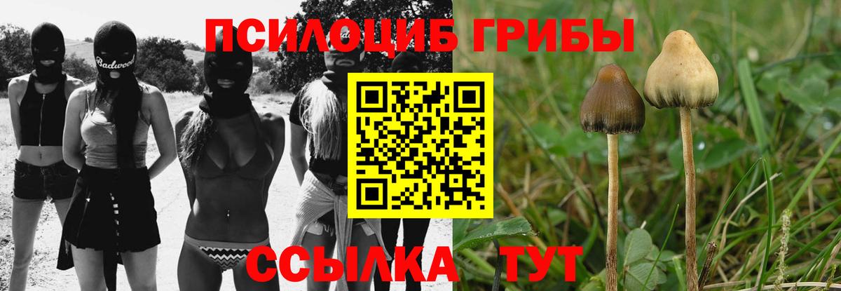 Псилоцибиновые грибы GOLDEN TEACHER  Вход с VPN  Псилоцибиновые грибы мицелий  Ртищево 